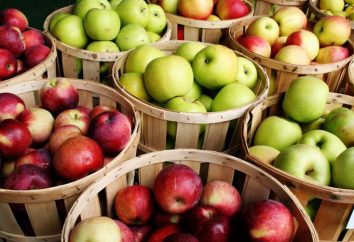 Receitas para o inverno: uma compota de maçãs e groselhas