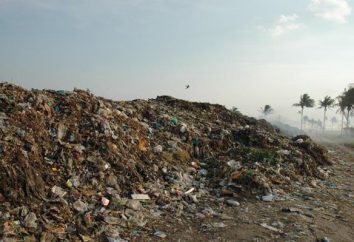rifiuti solidi urbani – sono oggetti o prodotti che hanno perso le proprietà di consumo. rifiuti domestici