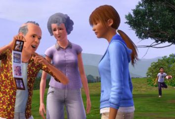 "The Sims 3" Requisiti di sistema. Computer game The Sims 3