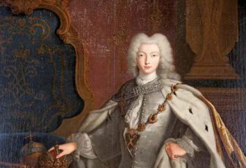 L'imperatore Pietro II: biografia, in particolare del governo, la storia e la riforma