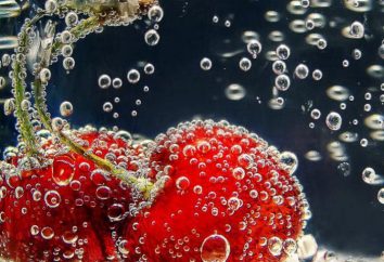 Como fotografar os frutos em água