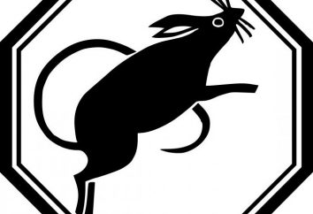 Cheval et Rat: la compatibilité de l'horoscope de l'Est