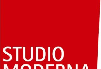 "Studio Moderna" (Ltd.). Bewertungen von Mitarbeitern