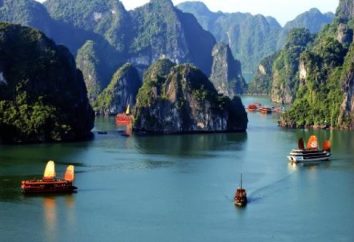 Quand est-il préférable de se reposer au Vietnam: quelques conseils