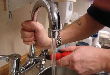 Comment réparer un robinet dans la cuisine? Qui coule du robinet dans la cuisine