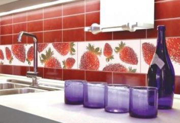 Küche PVC Schürzenfeld – vor allem Material. Wählen Sie Kunststoffplatten für Küchenschürze