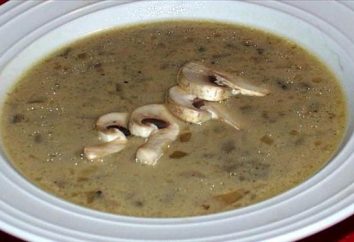 Jaki jest grzybnia: zupa przepis