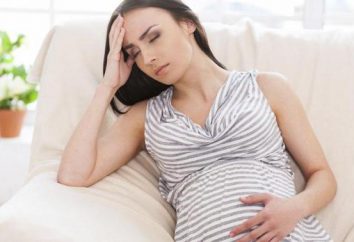 I periodi più pericolosi della gravidanza. Consigli e la raccomandazione del medico