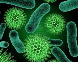 Que as bactérias são patógenos? As bactérias e as pessoas
