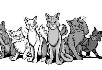 Szczegółowe lekcja: jak narysować kota wojowników