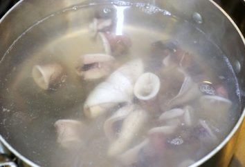 ¿Cuánto tiempo para cocinar calamares, para preservar su sabor?