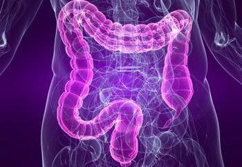 Síndrome del intestino irritable: síntomas, tratamiento