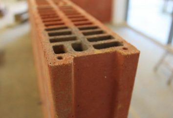 bloques de cerámica "Porotherm" (Porotherm): dimensiones, características técnicas