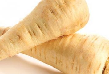 Pasternak – légume oublié imméritée, mais très utile