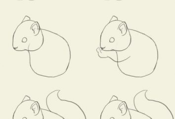 Come disegnare uno scoiattolo modo semplice e veloce?
