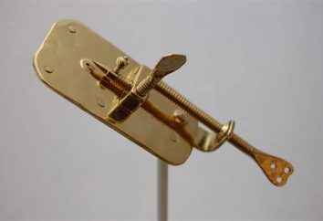 Microscopio Leeuwenhoek. Il primo microscopio