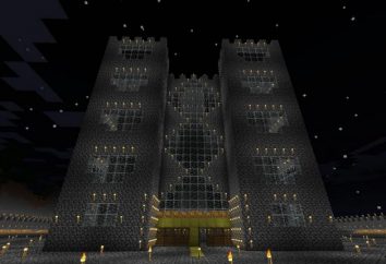Castello di blocchi, o il modo di costruire una casa in Minecraft?