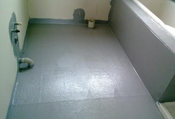 Isolamento para o chão: dicas para a colocação. Impermeabilizando o chão em uma casa de madeira