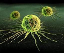 Verfahren zum Nachweis von Krebszellen im menschlichen Körper