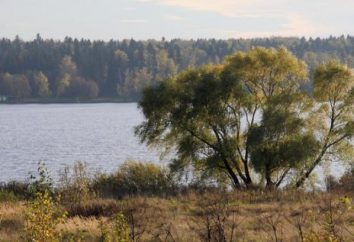 Dmitrov Bezirk, Round Lake