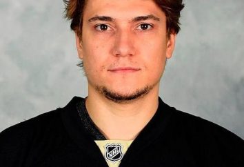 Sergei Plotnikov – giocatore di hockey da Khabarovsk. Biografia e sportive realizzazioni