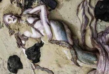 Fact or Fiction: Mermaid in Jakutien gefunden?