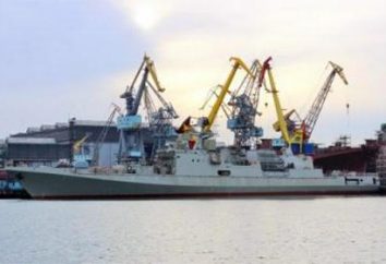 Fragata "Almirante Makarov". 11356 fragata