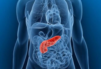 suco pancreático: descrição, composição, função e características