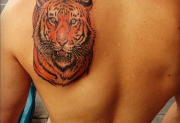 Tattoos Tiger: alte Glauben und moderne Designs