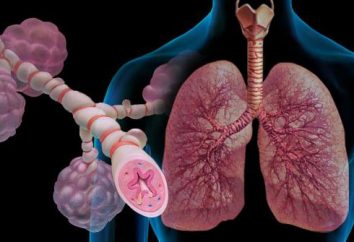 Sibilancias en los bronquios durante la exhalación. Sibilancias en los bronquios: causas y tratamiento