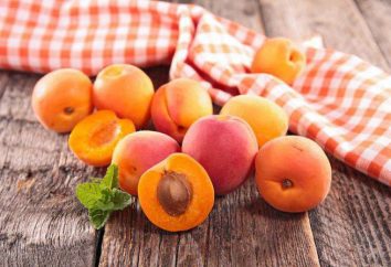 Aprikosenöl für Gesicht aus Falten: Bewertungen, Eigenschaften und Verwendungen