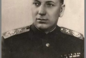 Eroe dell'Unione Sovietica Voronov Nikolay Nikolaevich: Biografia, Risultati e fatti interessanti