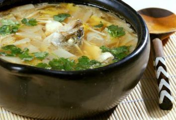 Come cucinare una deliziosa zuppa? Alcuni consigli