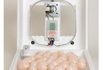 Inkubator nach Hause „Ebene“. Incubator "Layers": Beschreibung, Anweisungen Bewertungen. Vergleichen Inkubator „Ebenen“ zu Gleichaltrigen