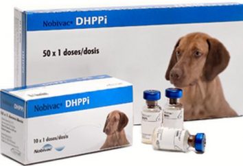 Szczepionka „Nobivac” dla psów i kotów