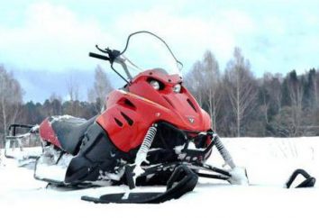 "Kauryur" (snowmobile): opinia właściciela, specyfikacje techniczne, zdjęcie