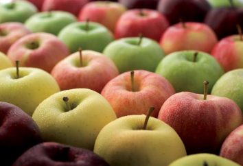 Najsmaczniejsze odmiany jabłek: lista i opis