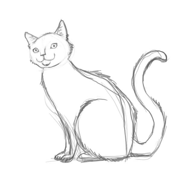 Come Disegnare Un Gatto Gradualmente Matita Come Disegnare Un Gatto Per I Bambini