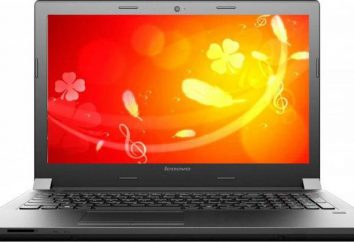 Lenovo IdeaPad B5030: Descrição Laptop, especificações, comentários