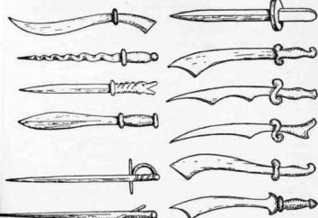 spade di legno e scudi per la formazione. Come fare una spada di legno?