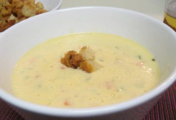 zuppa di formaggio con il pollo: ricetta delicata primo corso