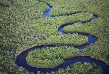Zambezi (río en África), que es originario y donde fluye? Zambezi: origen, longitud, mapa de ubicación y foto