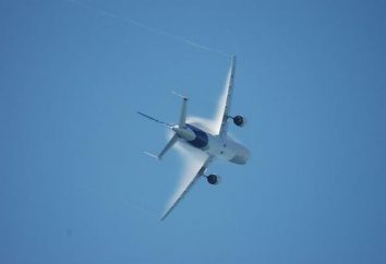 "Beluga" – una nuova generazione di aerei