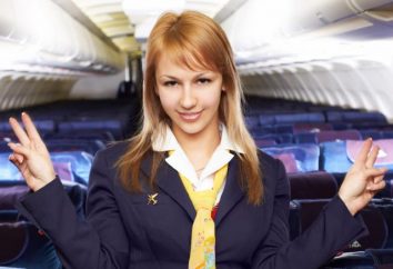 Stewardess: ce que vous avez besoin d'admission? Ce que vous devez devenir un agent de bord?