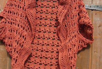 Como tricotar um crochet cardigan: o esquema e descrição