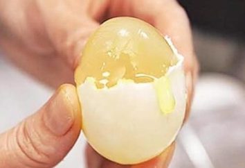Sztuczne jajka – czy to możliwe?