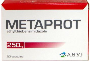 "Metaprot": istruzioni per l'uso, vero e proprio