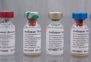 DHPPi "Nobivac" – moderna de vacunas para perros