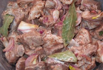 La rapidez con salmuera pinchos de carne de cerdo – recetas
