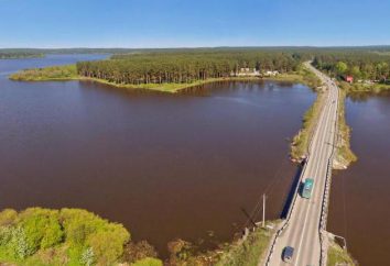 Verhnemakarovskoe Reservoir: descrizione serbatoio